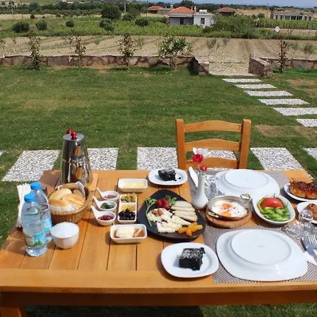 酒店 Tinos & Bag Evi 12 Yas Uestue *