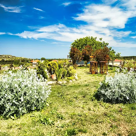 Tinos & Bag Evi 12 Yas Uestue * Bozcaada