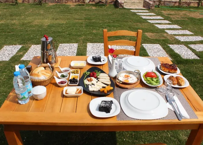 Tinos & Bag Evi 12 Yas Uestue Tenedos