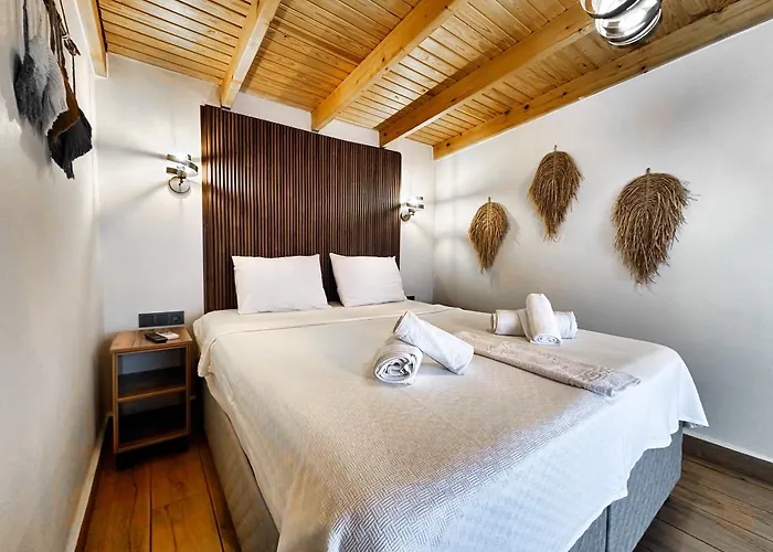 Tinos & Bag Evi 12 Yas Uestue *