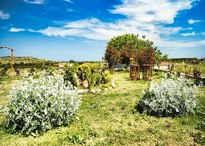 Tinos & Bag Evi 12 Yas Uestue * Tenedos